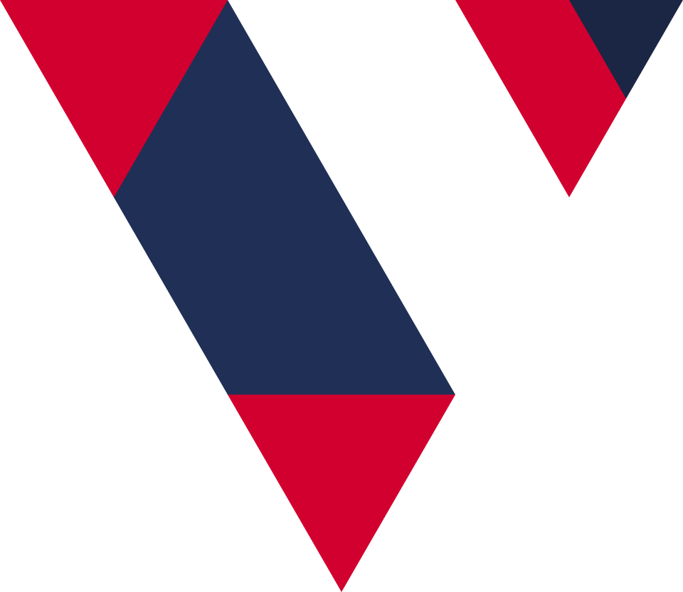 株式会社VECT&nbsp;INNOVATIONのロゴ