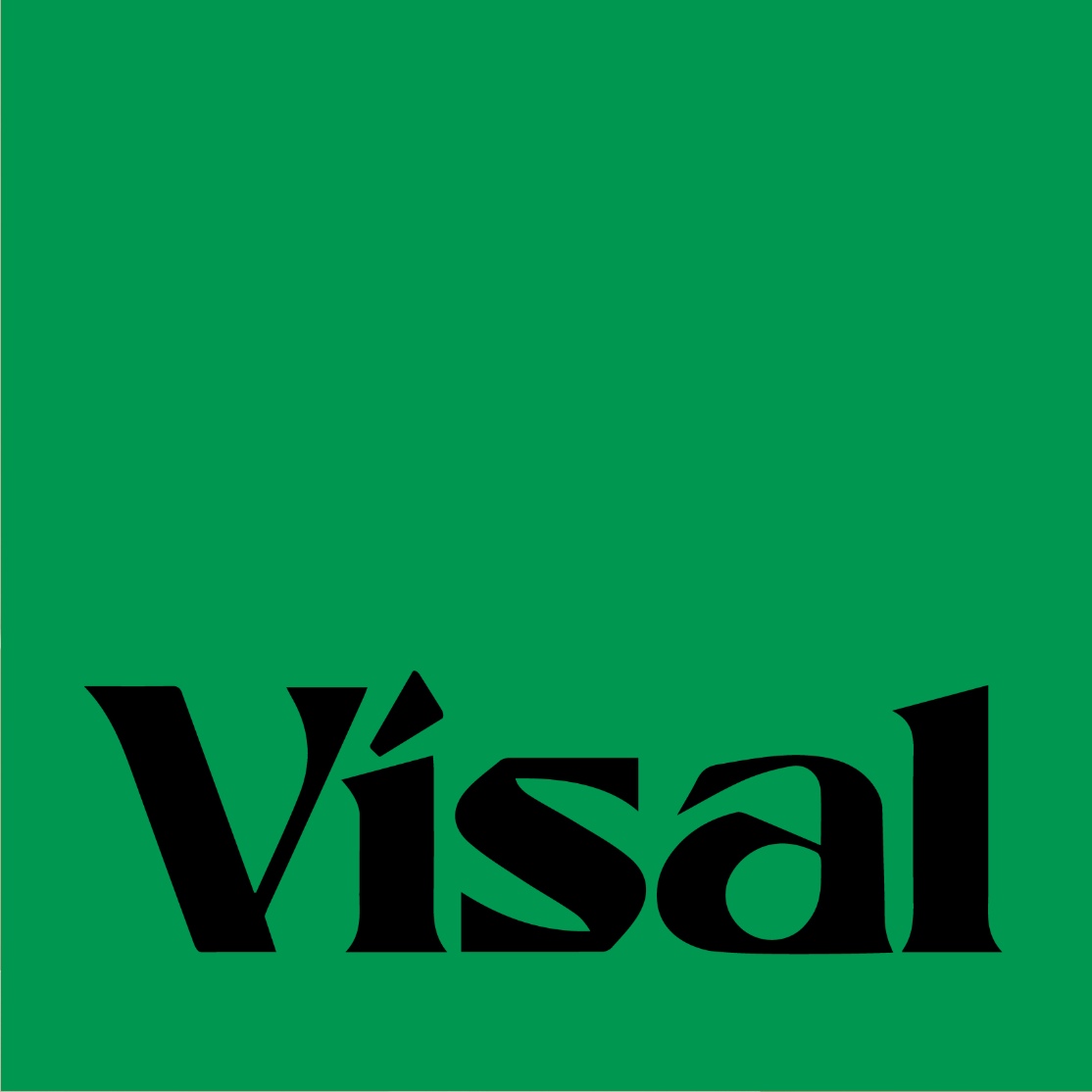 株式会社Visal