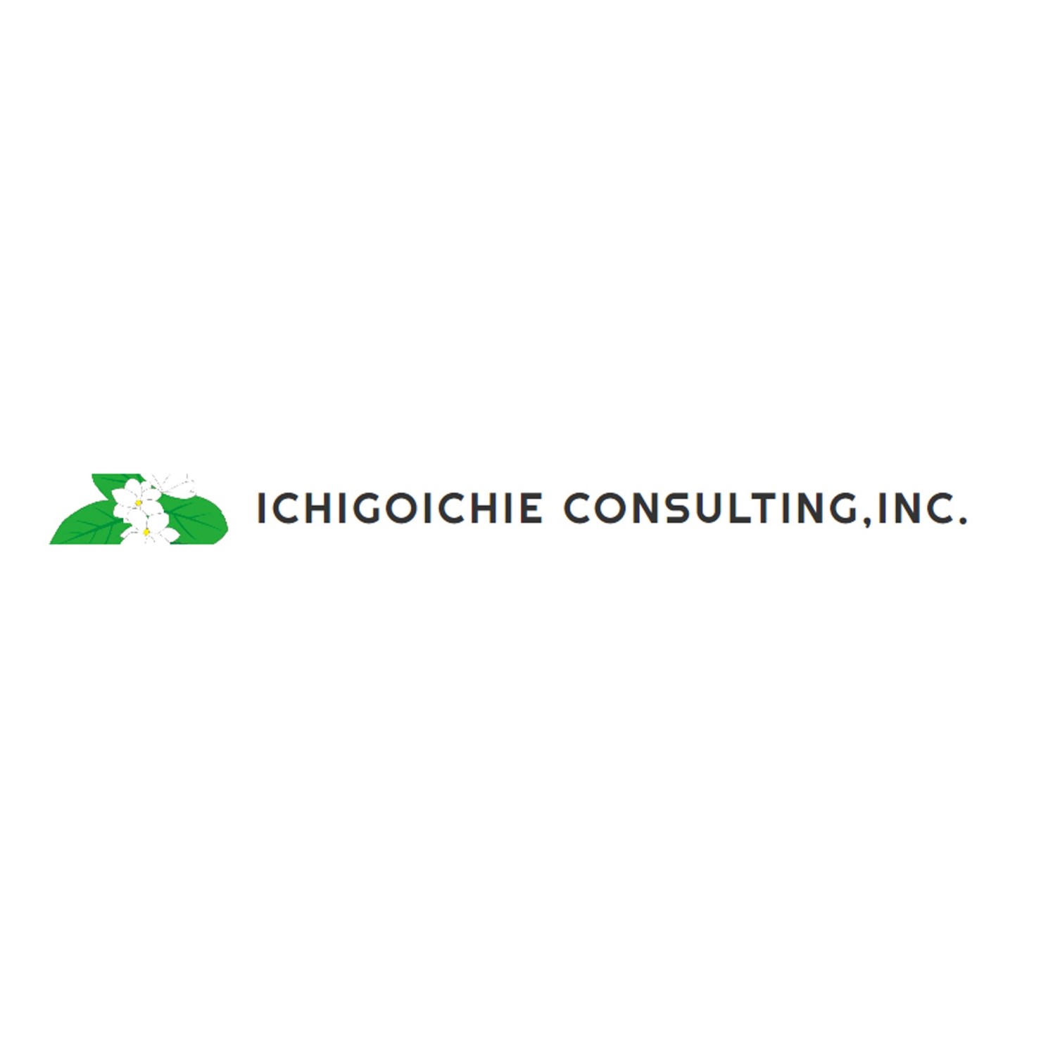 ICHIGOICHIE CONSULTING, INC. のロゴ
