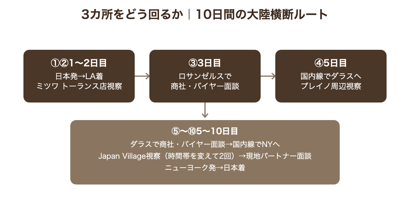 10日間の視察実行計画フロー